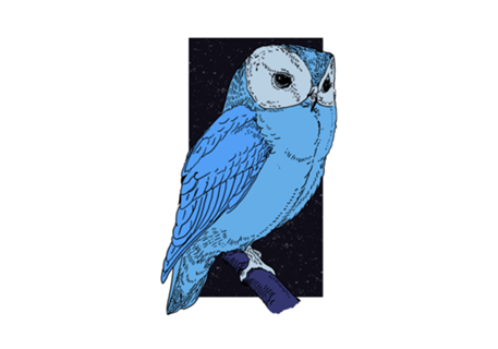 Night Owl