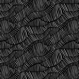 Zebra mix b&w