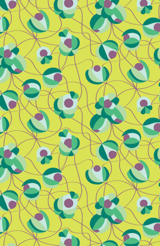 Guaraná pop lemon combo