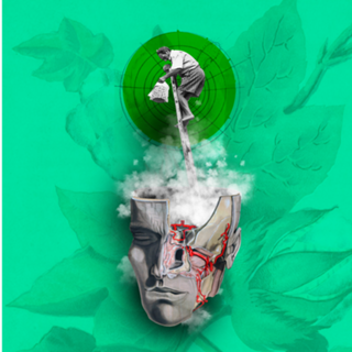 Open mind