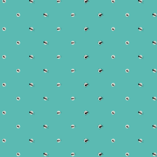 Formigas