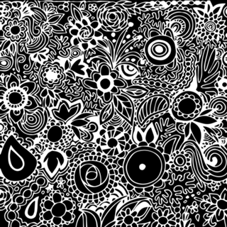Descobrindo o bosque