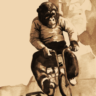 Macaco de Bicicleta