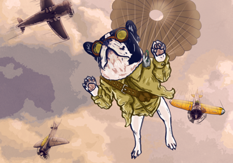 Para•Cão
