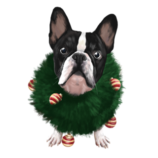 Bulldog de Natal