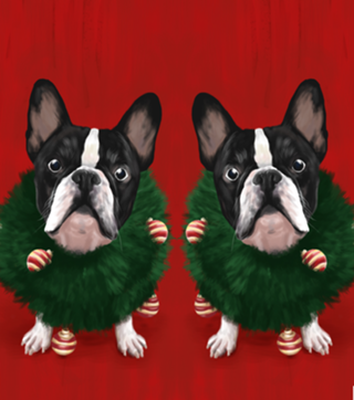 Bulldog de Natal