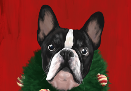 Bulldog de Natal