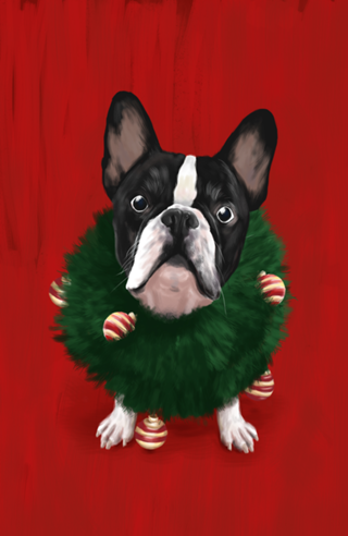 Bulldog de Natal