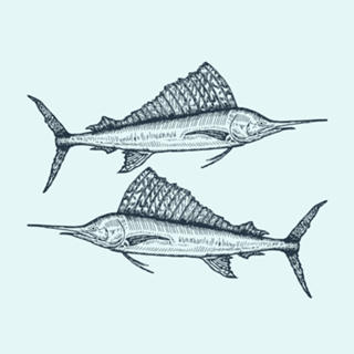 Marlin azul