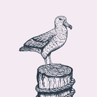 Gaivota