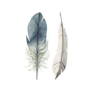 Penas aquarela