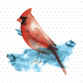 Passarinho vermelho