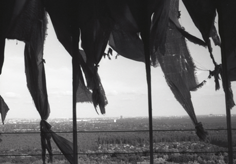 Ausblick