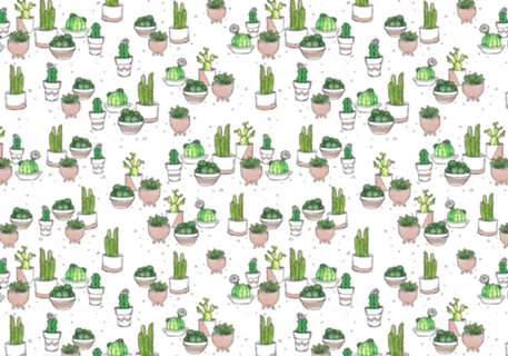Jardim de Cactos | Rose gold