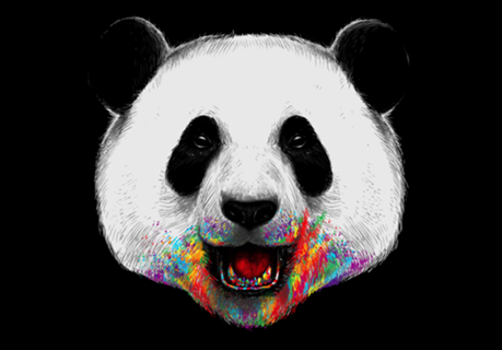Where is the Rainbow?