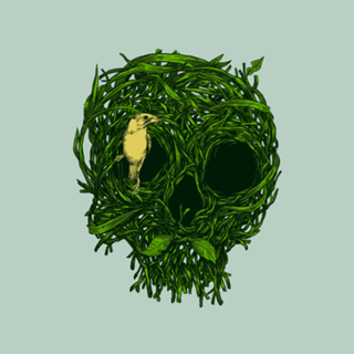 Skull nest