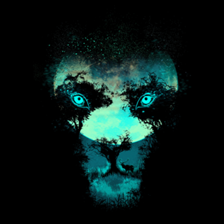 Silence Hunter
