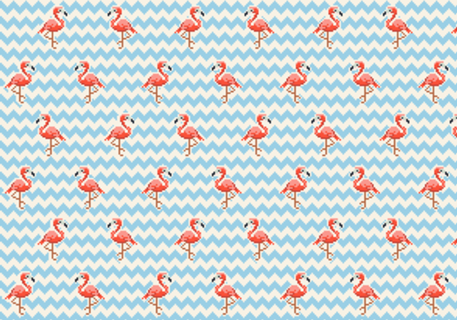 Flamingos!