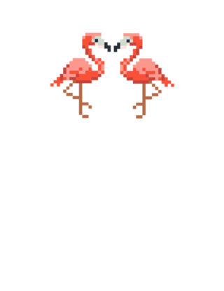 Flamingos!