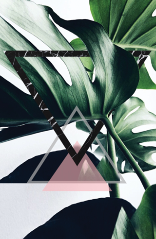 VerdeUm [naturalmente]