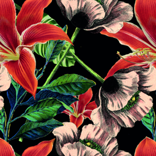 Botanical Flowers