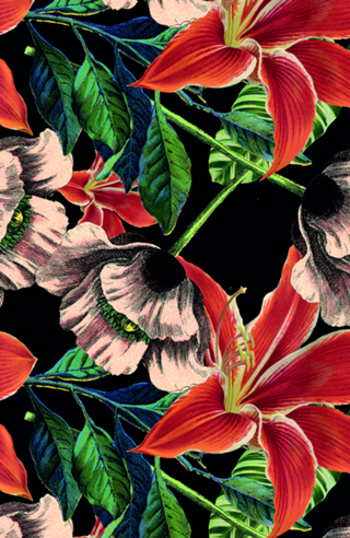 Botanical Flowers