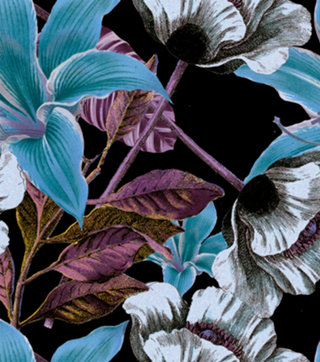 Botanical Flowers II 