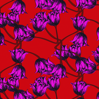 Tulipas 