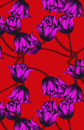 Tulipas 