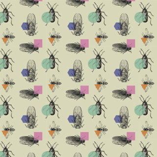 Beetle