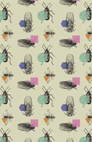 Beetle