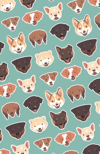 All Shapes & Colors