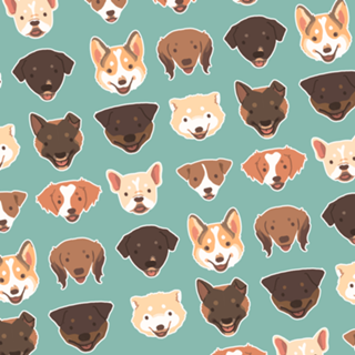 All Shapes & Colors