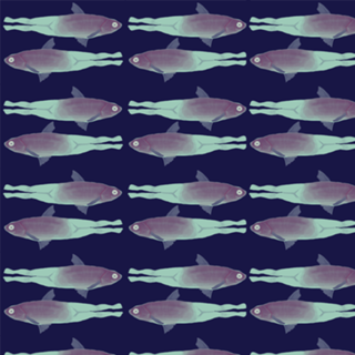 Sereia