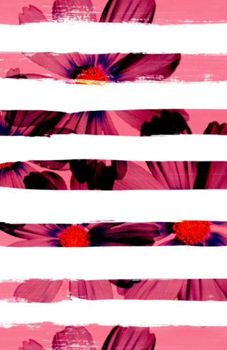 Listra flor