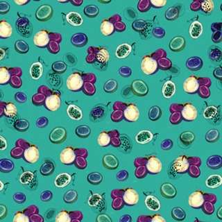 Passion Fruit