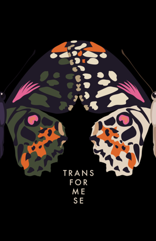 Trans Forme-se