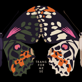 Trans Forme-se