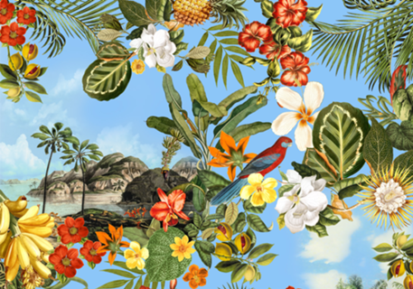 Paraíso Tropical