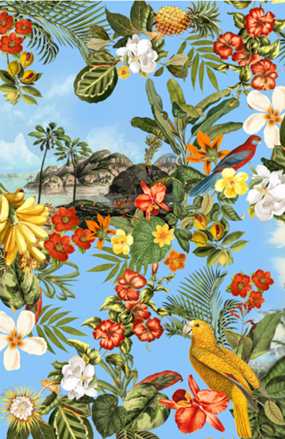 Paraíso Tropical