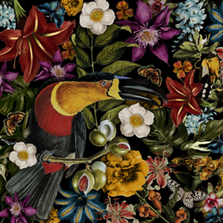 Tropical Dark