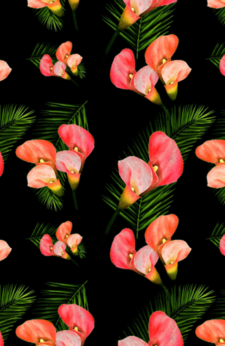 Pink Calla Lilies