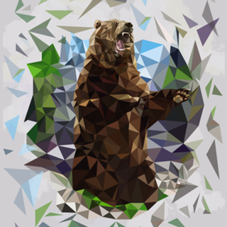 Poly bear