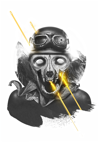 Pilot