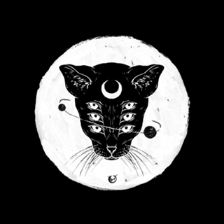 Cat moon