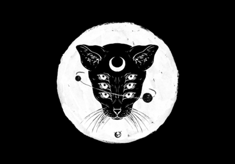Cat moon