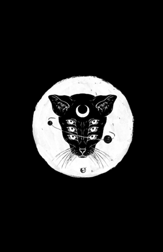 Cat moon
