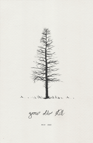 Grow older still