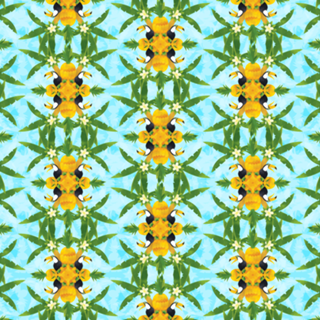 Floresta Tropical