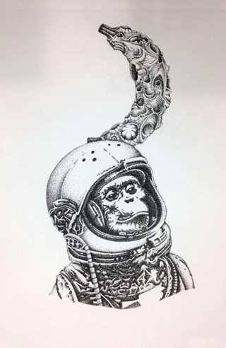 Space Monkey